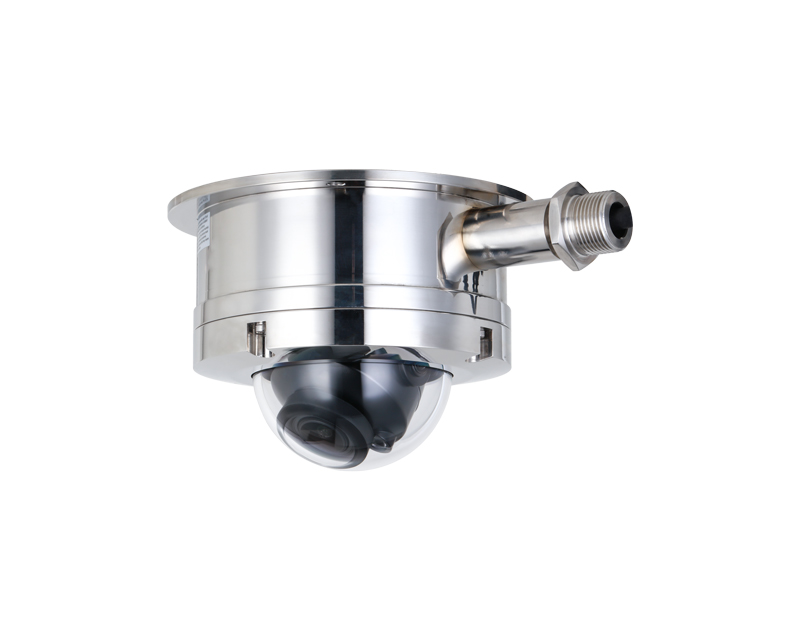 IPC-HDEW8441RP-Z-27135-316 4MP Explosion Proof IR Dome WizMind Network Camera