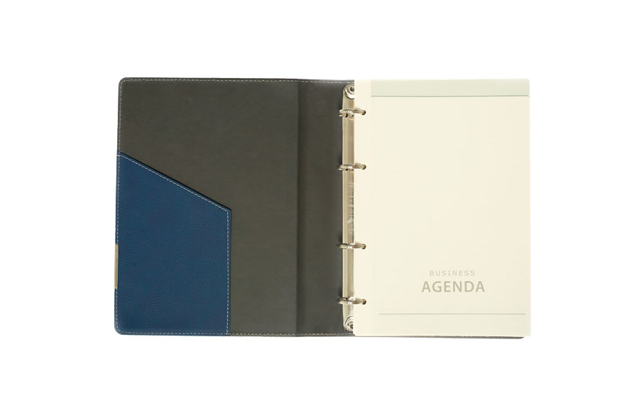 LION Agenda sa mehanizmom A5 OMEGA