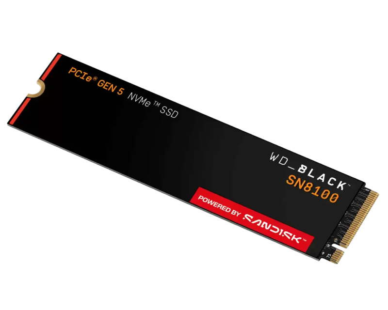 2TB M.2 NVMe SSD Gen5 WDS200T1X0M SN8100 Black