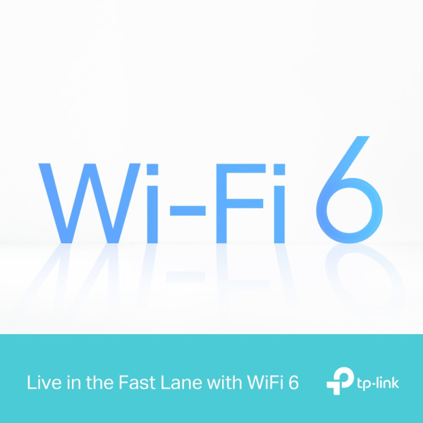 LAN Router TP-Link ARCHER AIR R5 AX3000/1xLGAN/1xGWAN/AP mode