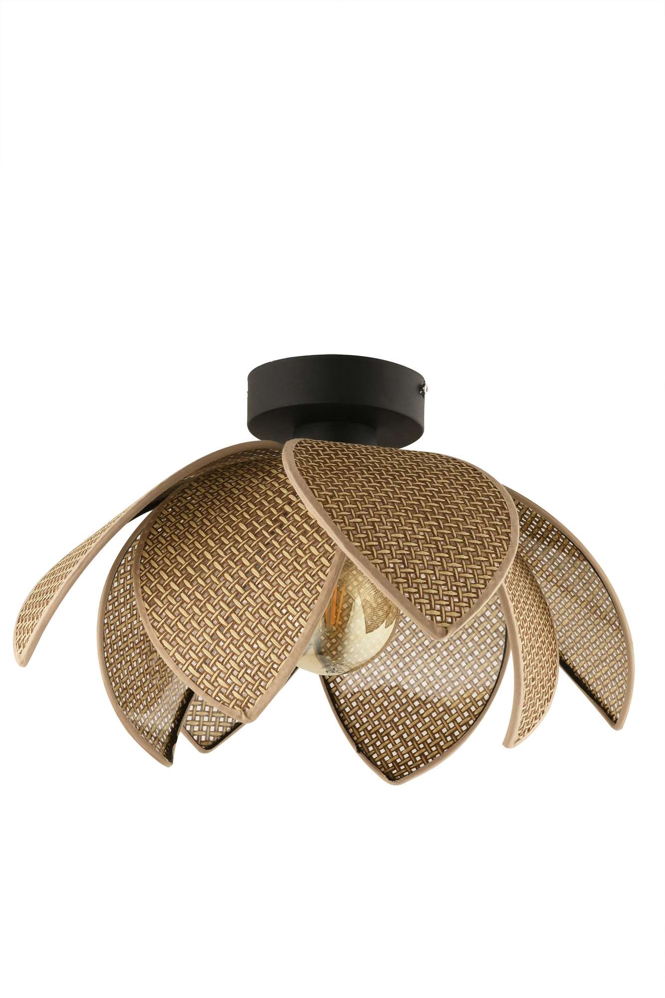 Luster 64888 Bež, Crna