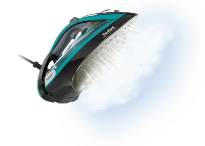 TEFAL PEGLA NA PARU FV9844