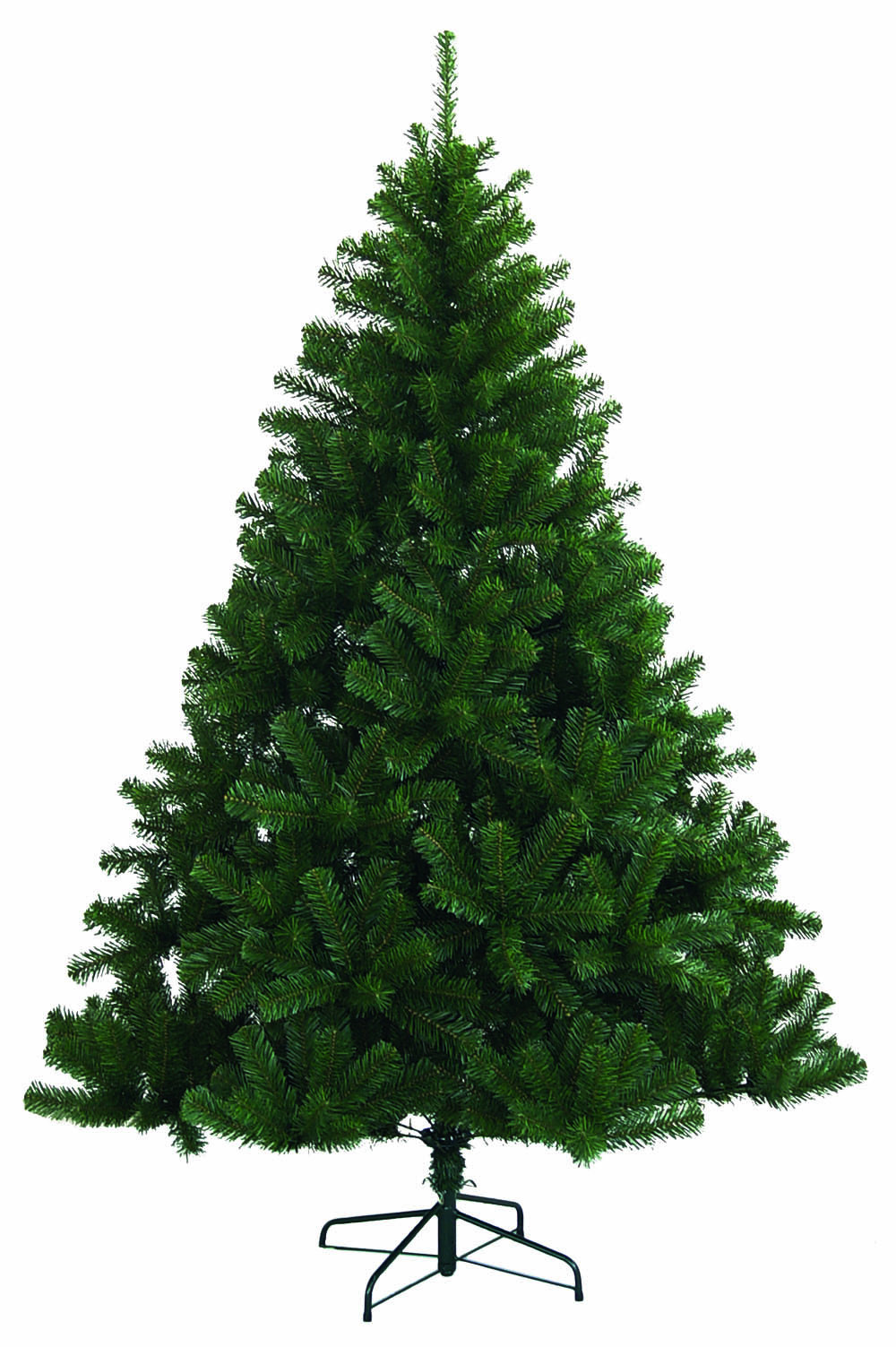 NORDMANN KING 240CM