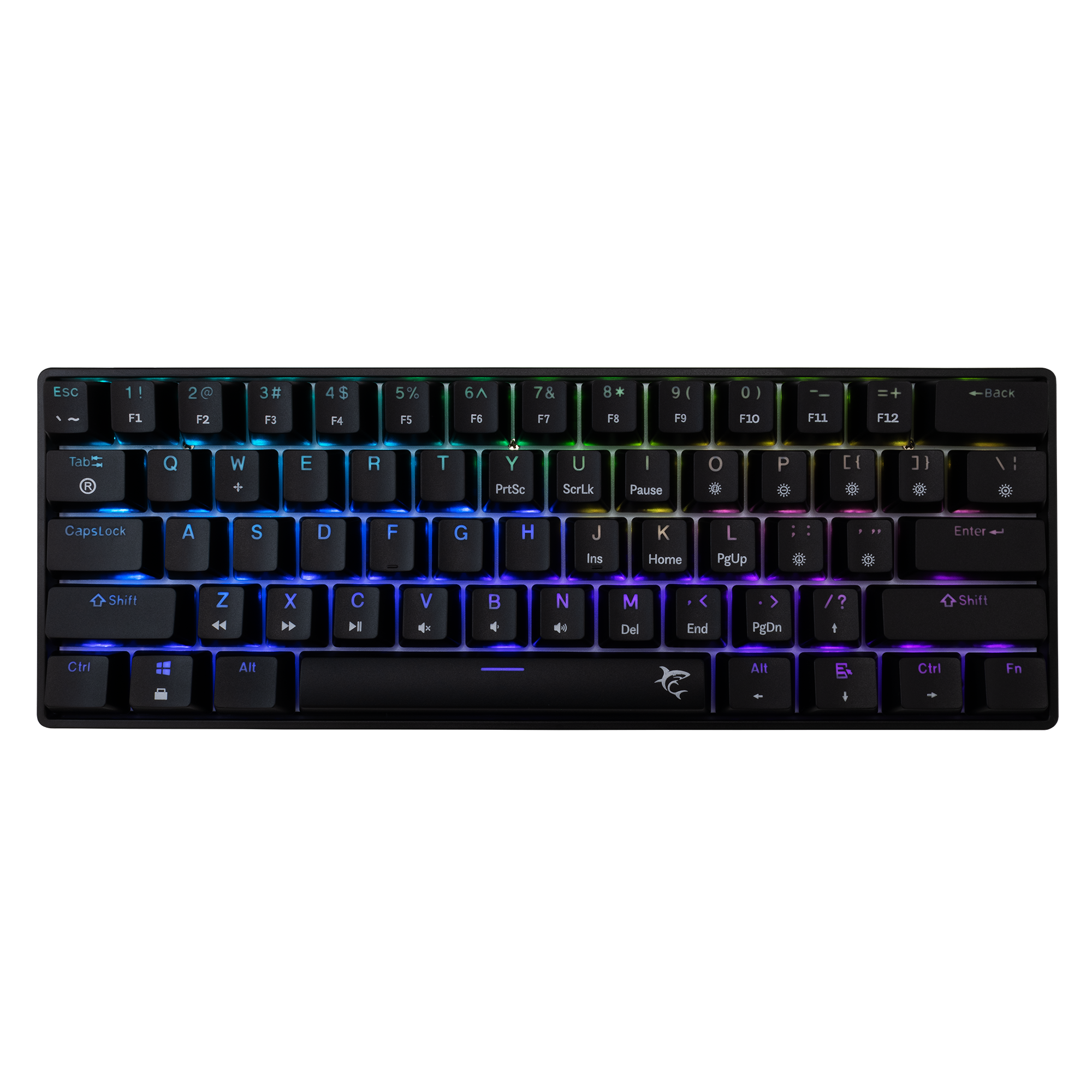 WS GK 004211 SHINOBI - 2, B, Blu Mechanical - US
