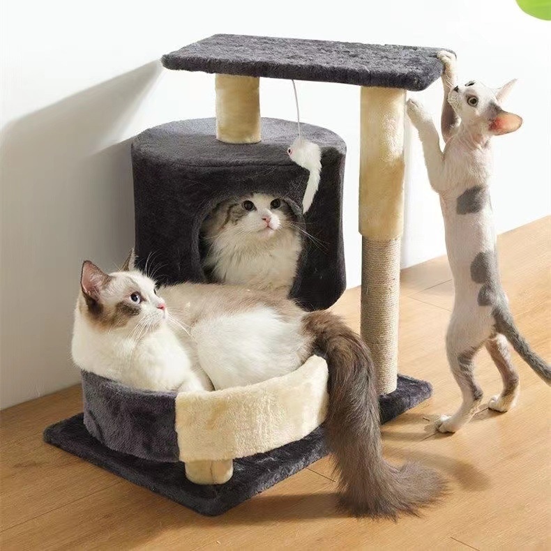 CESKO ZA MACKE PINI DARK GRAY