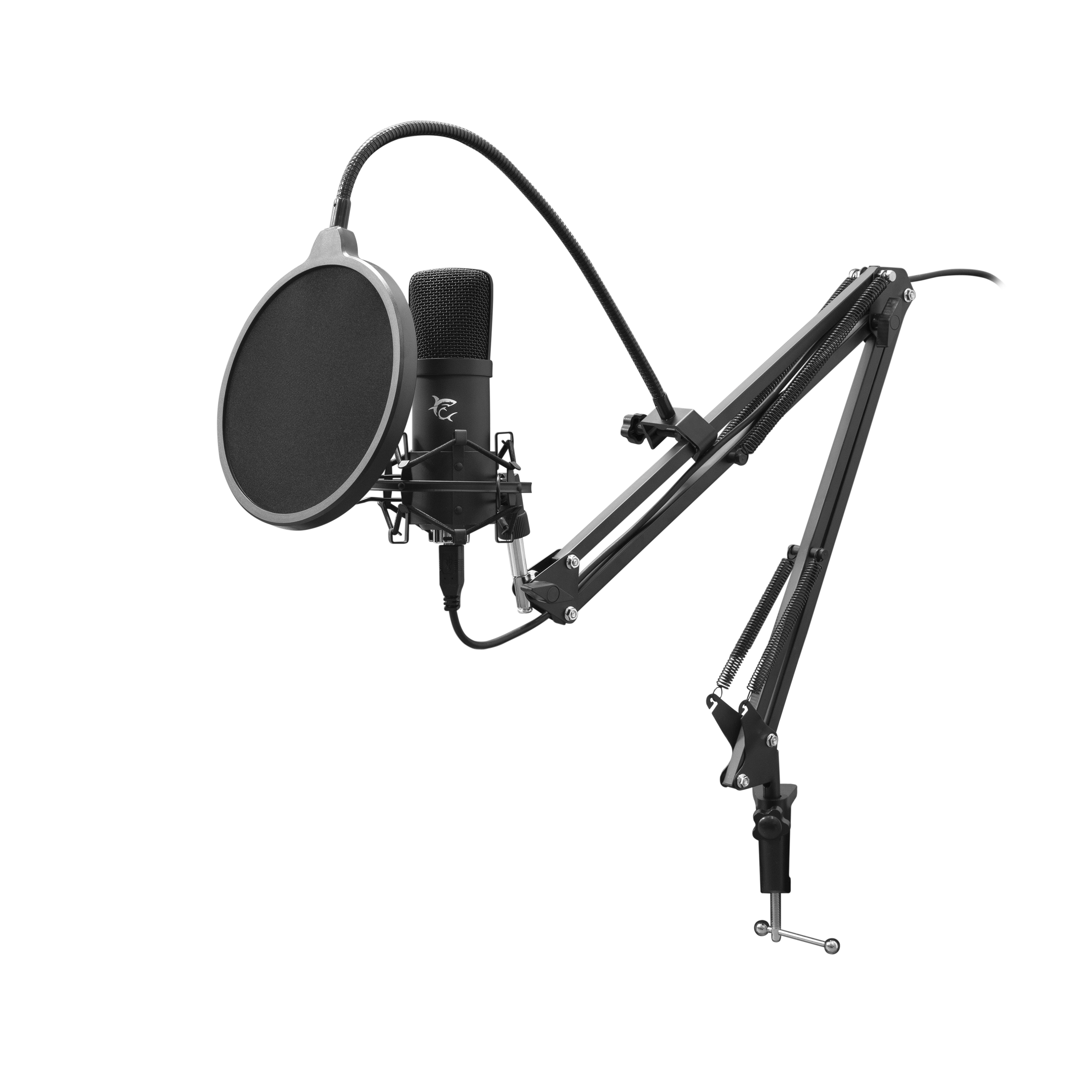 WS DSM 01 ZONIS, Microphone