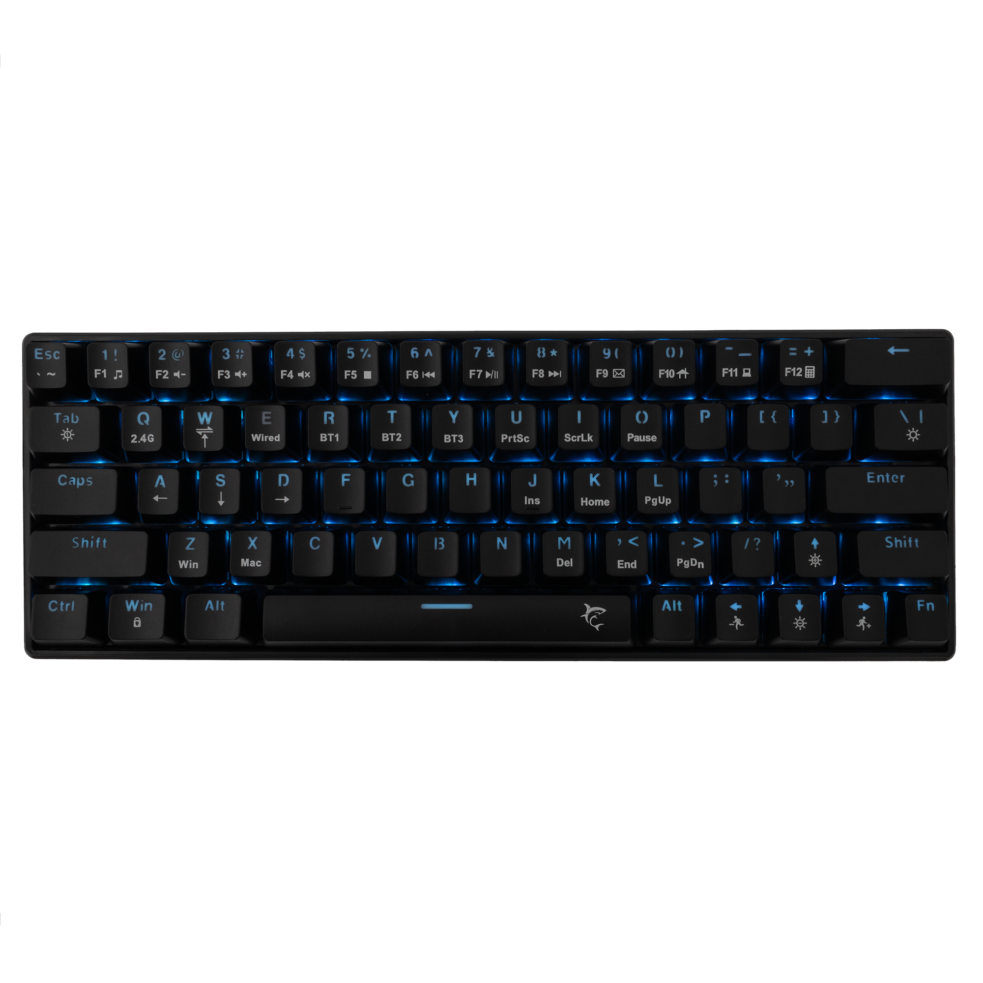 WS Premium GK 003111 KAIKEN US, Keyboard
