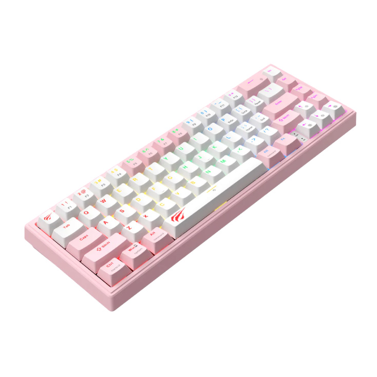 Mehanička RGB USB tastatura Havit KB874L