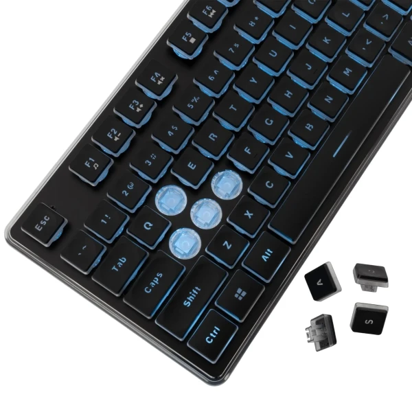 Tastatura White Shark GK 003141 TACHI crna membranska US