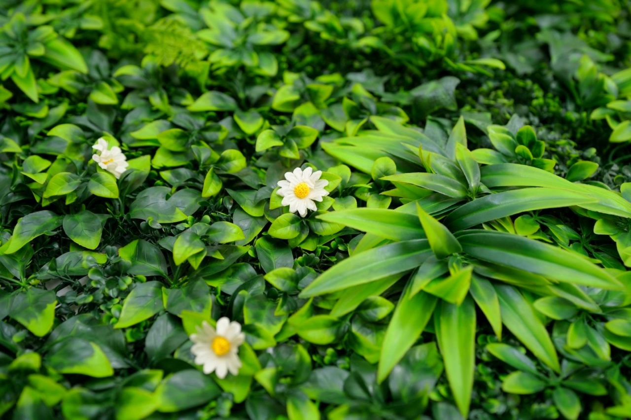 ZELENI ZID 3D TARA 3 100X100 CM