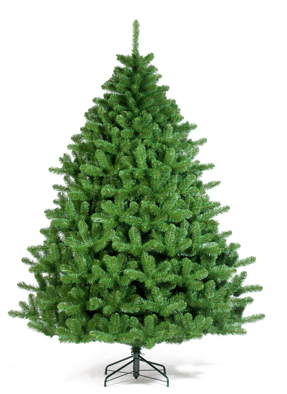 NORWAY SPRUCE 150CM