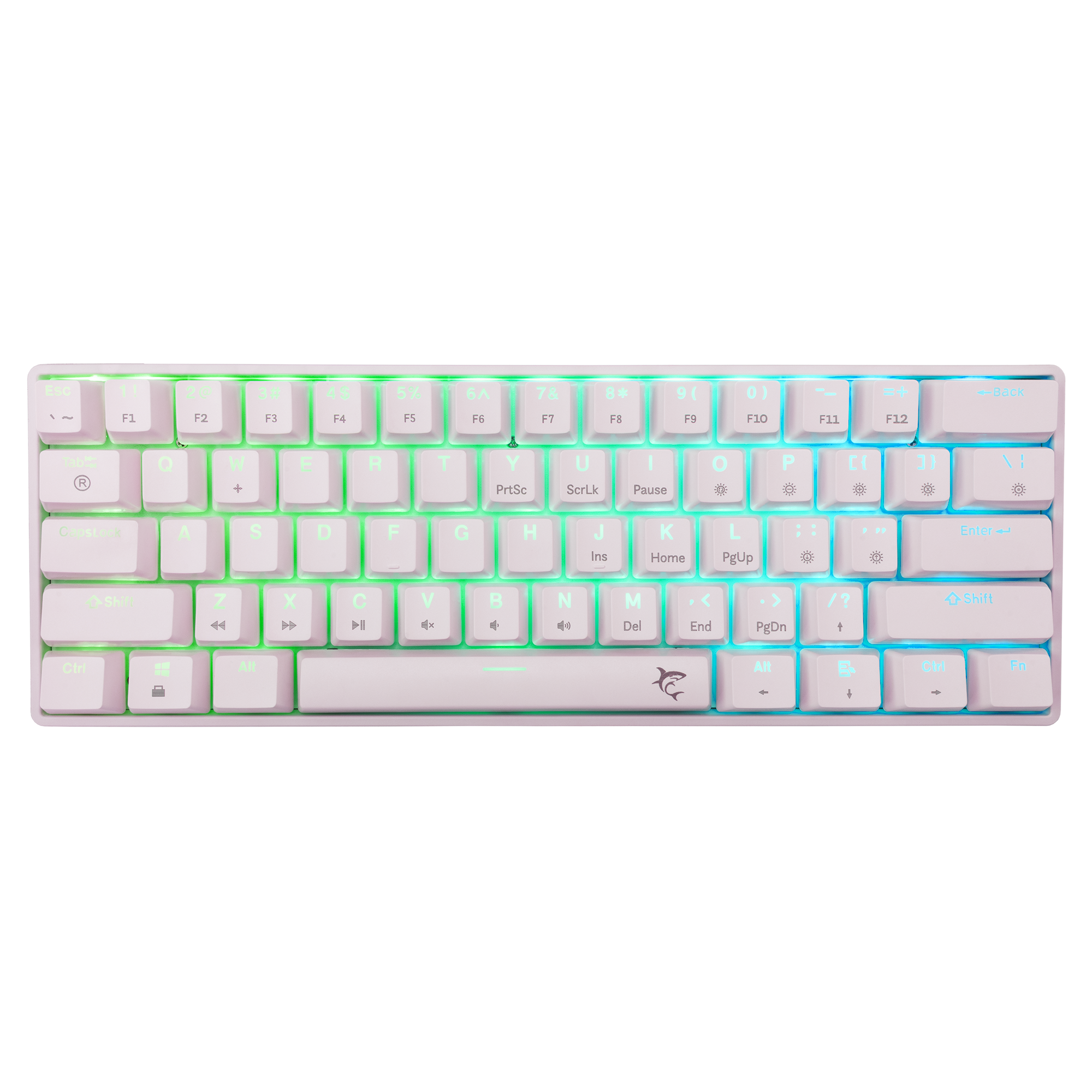 WS GK 004211 SHINOBI - 2, W, Blu Mechanical - US