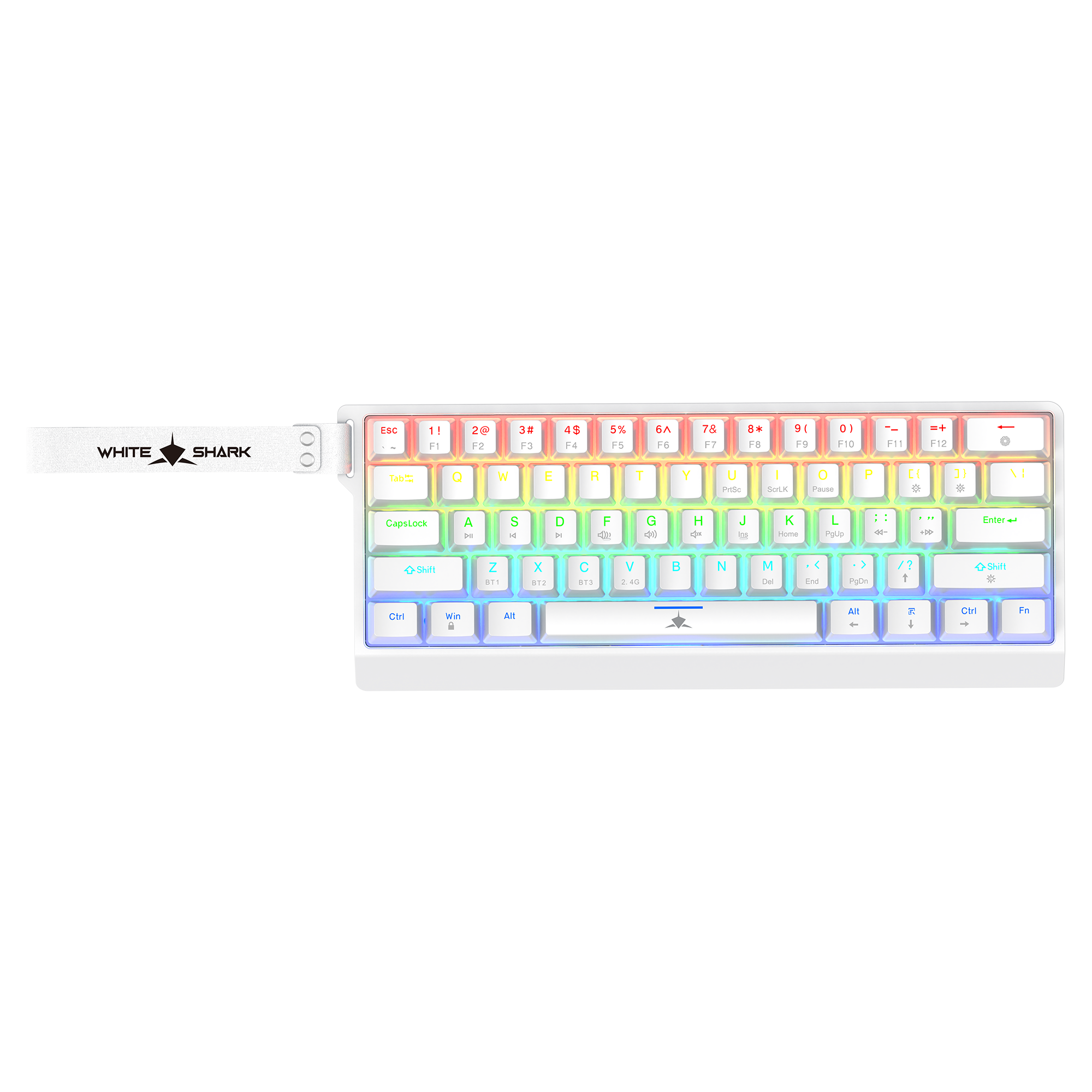 WS GK 008221 KANABO W, Keyboard - US - Blue