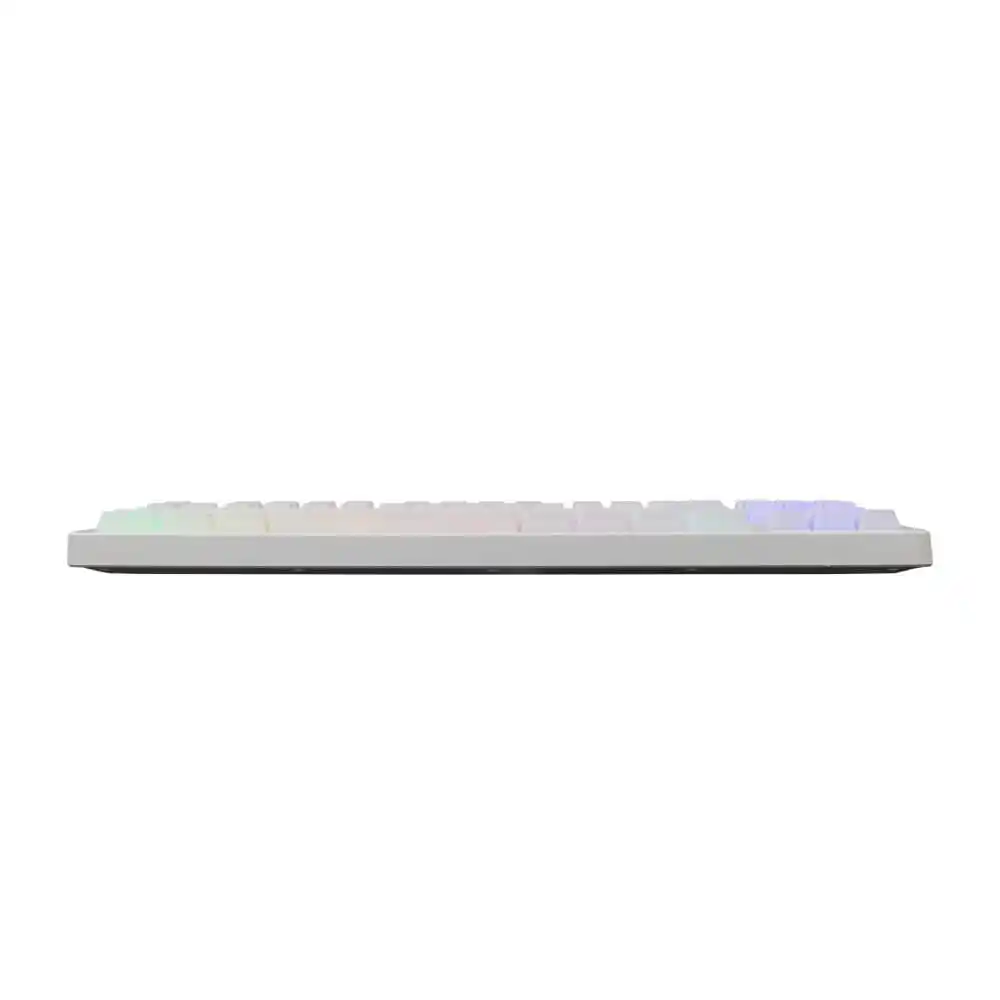 Tastatura Baracuda KRILL 87/Membranska/RGB/Bela/US