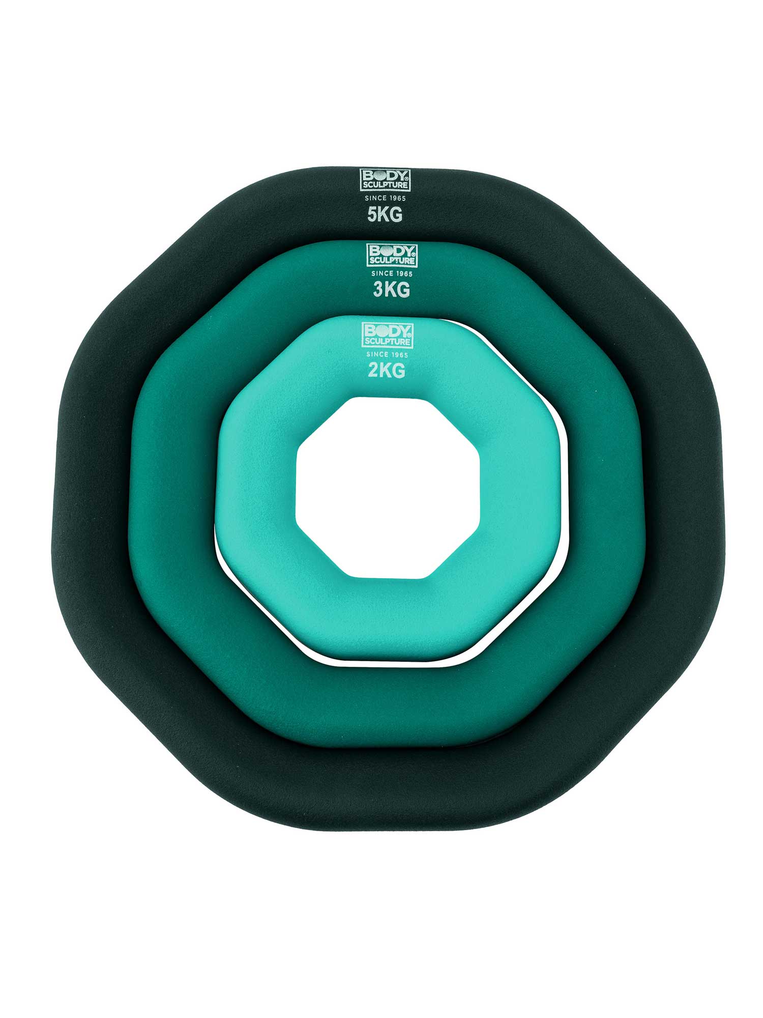 Set of rings with weights 10 kg