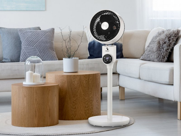 Ventilator P206VEN161