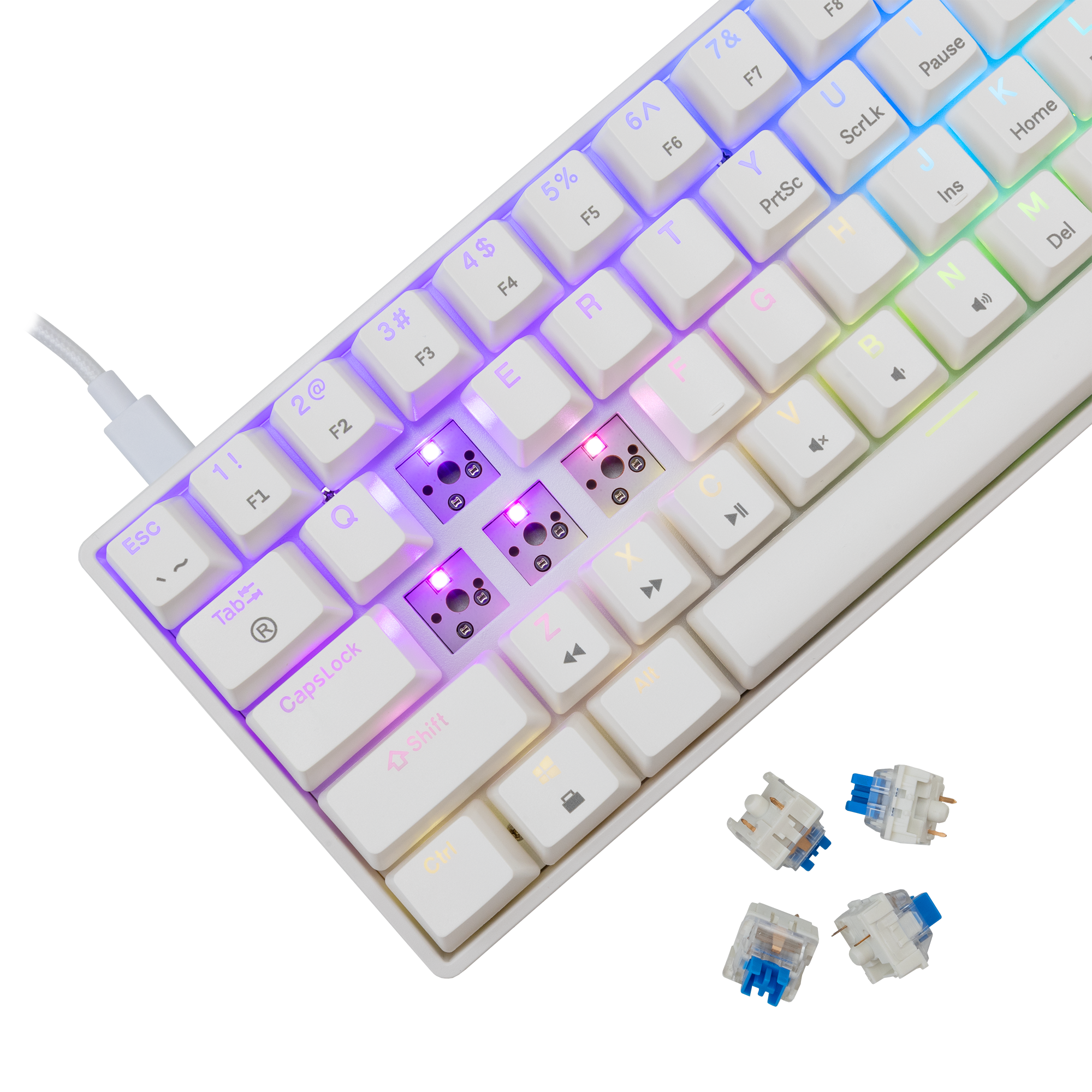 WS GK 004211 SHINOBI - 2, W, Blu Mechanical - US