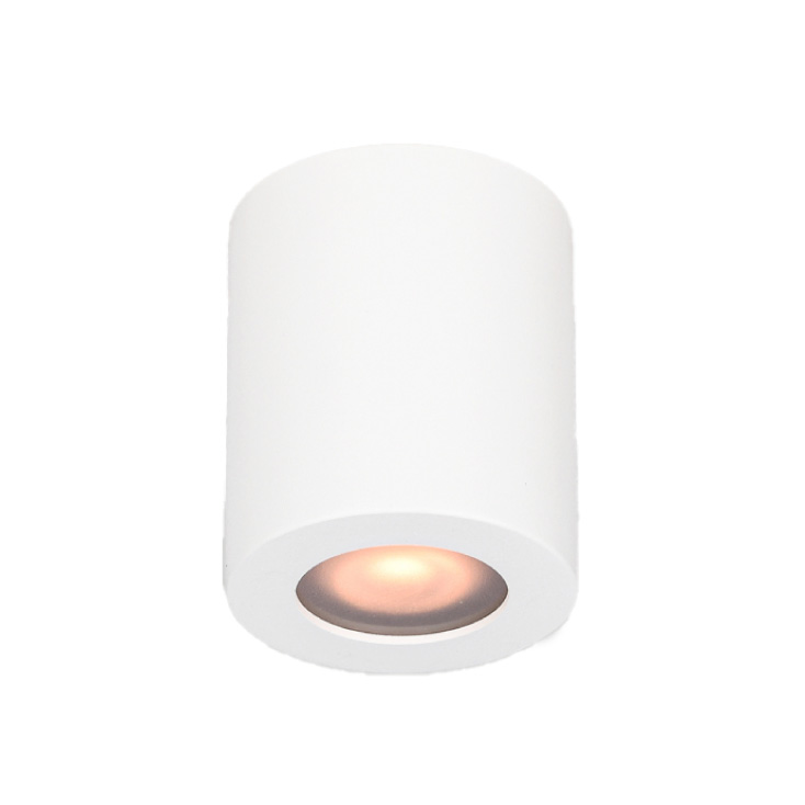 Plafonska lampa 1xGU10 bela IP65